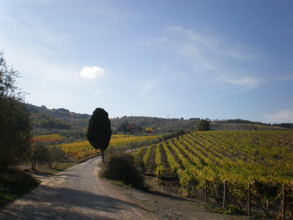 Farm stay Podere Torre Greve in Chianti