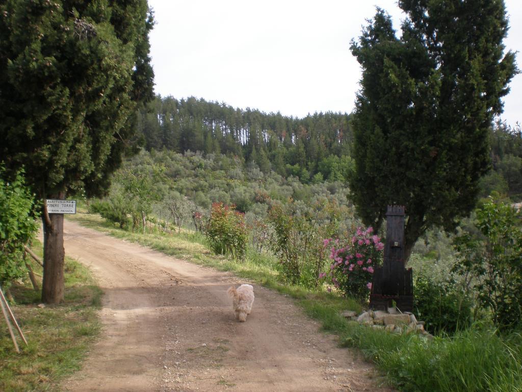 Podere Torre Greve in Chianti