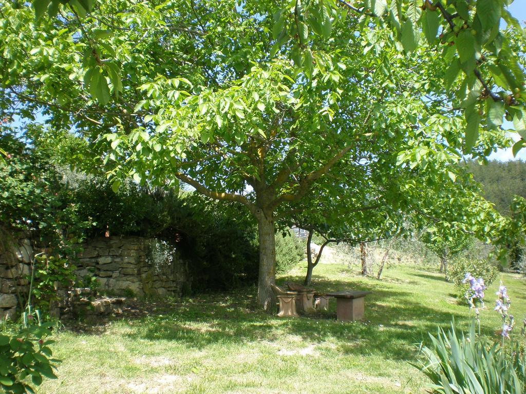 Podere Torre * Greve in Chianti