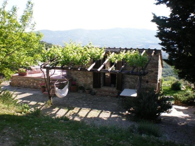 Farm stay Podere Torre
